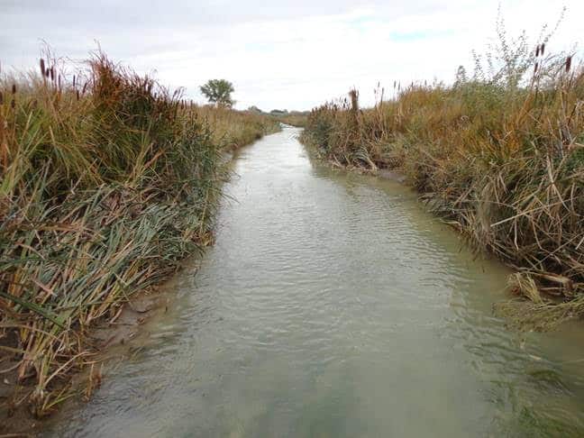 A Farmer, An Irrigation Ditch, and the Environmental Protection Agency: What Could Possibly Go Wrong?