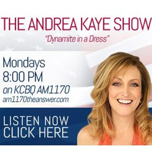 Mark Chenoweth on The Andrea Kaye Show: Discussing the Joel Fleming v. FDRLST Media, LLC case.