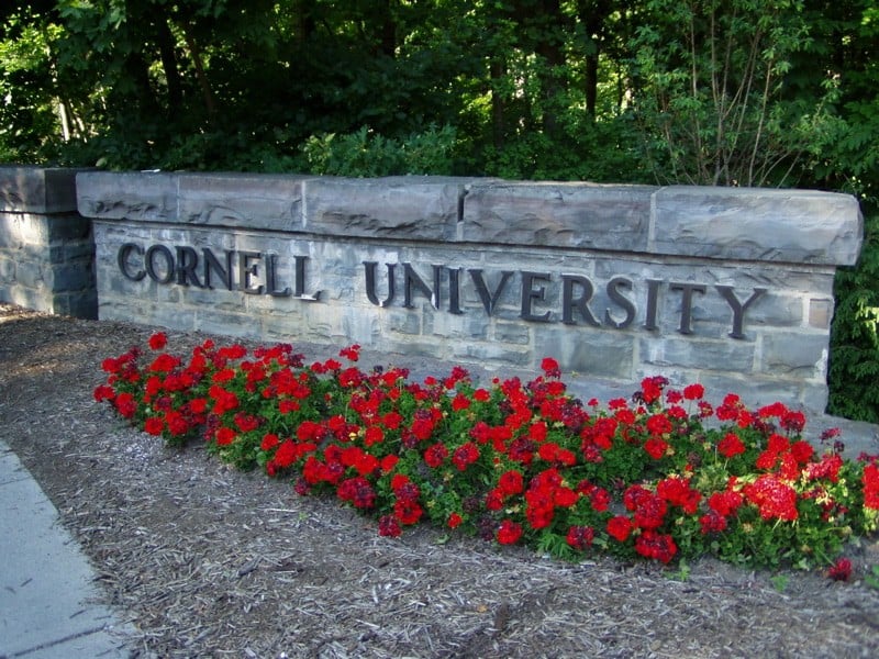 NCLA Demands Trial to Prove Ex-Professor’s Case Against Cornell’s Title IX Kangaroo Court